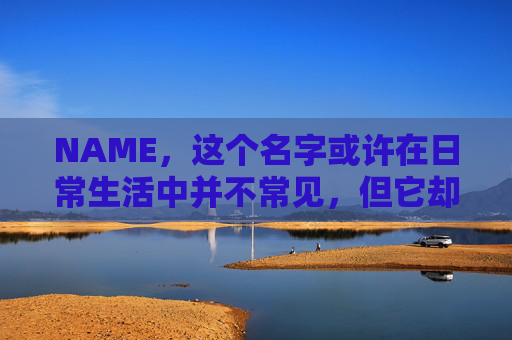 NAME，这个名字或许在日常生活中并不常见，但它却在某些领域里扮演着重要的角色。今天，让我们一起来探索这个名字背后的故事和意义